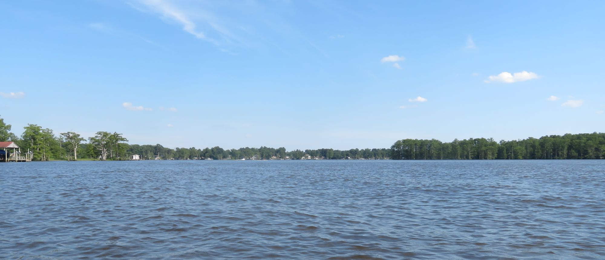 The tidal Chickahominy River in James City County, looking downstream with cypress-lined banks