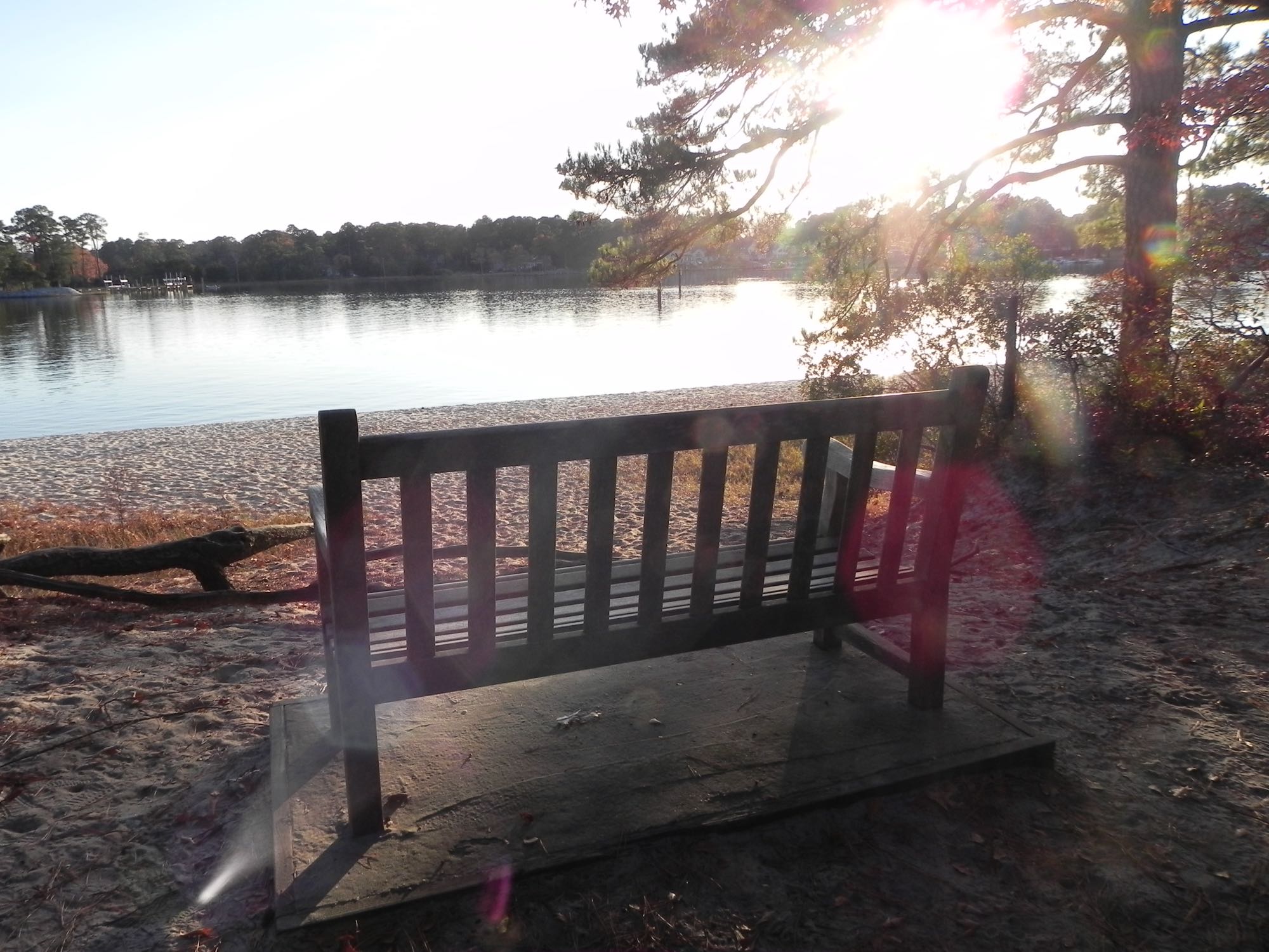 Broad Bay shoreline at First Landing State Park, with a bench overlooking the water