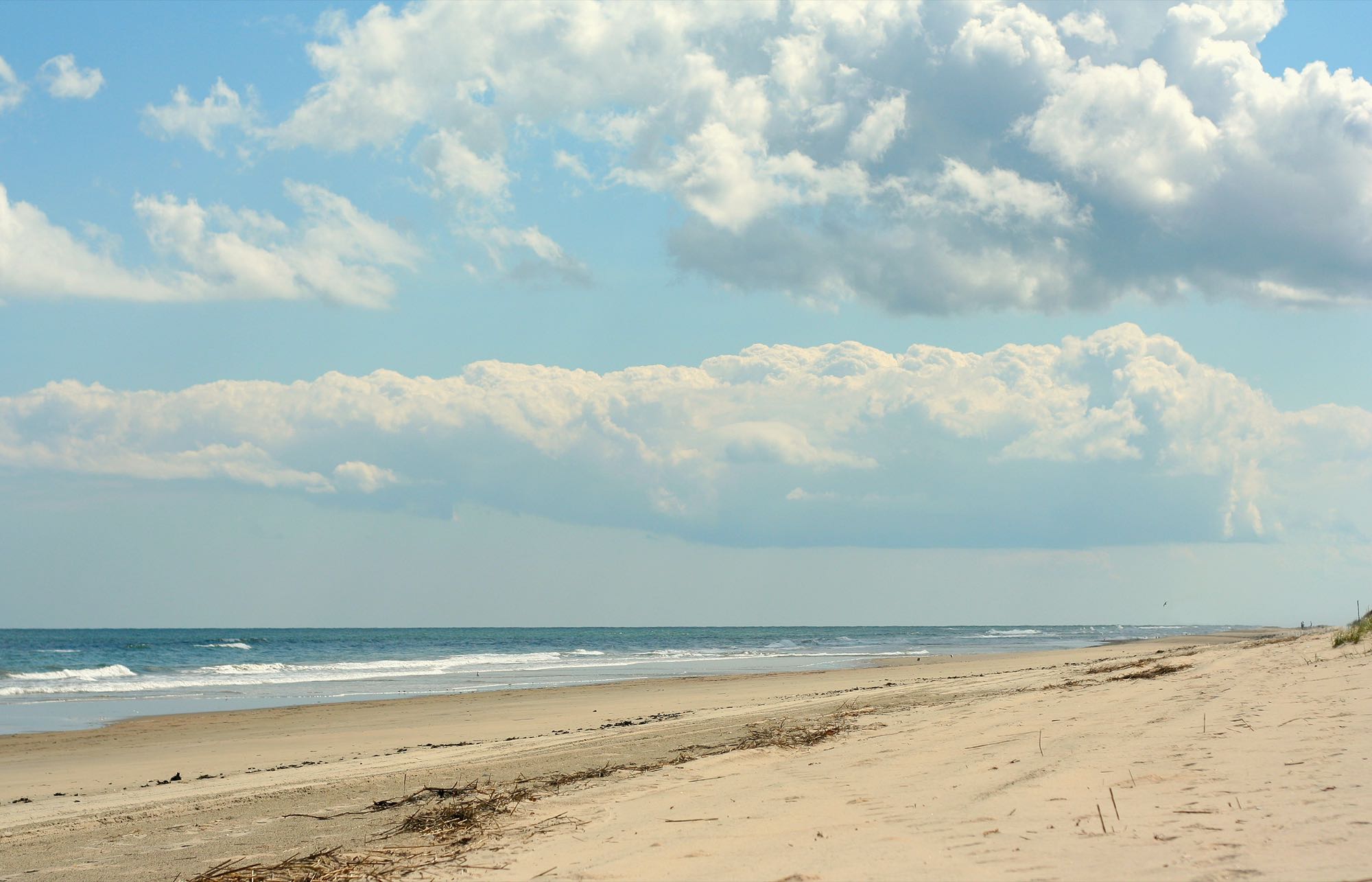 Sandbridge Beach surf