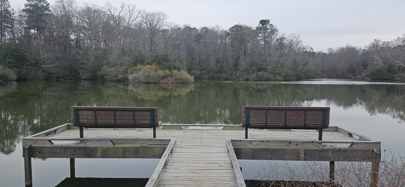 A fishing pier with benches over a wooded pond at York River State Park